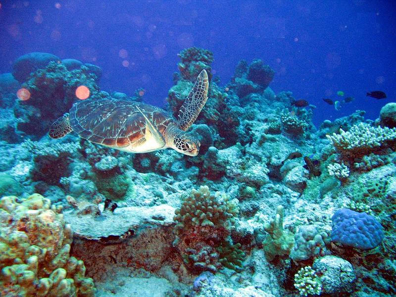 2013 02 17 Yann (15)b.jpg